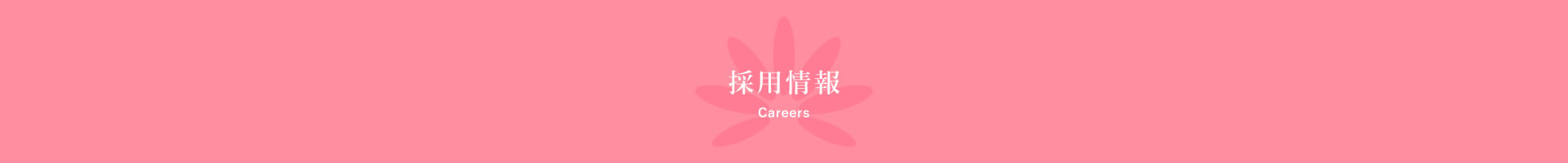 採用情報 Careers